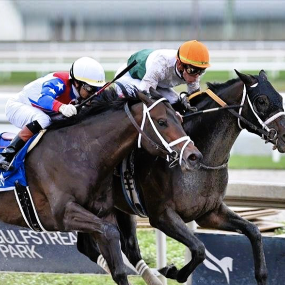 O´Connor cada vez suma más chance para la Pegasus W.C. por US$ 3.0 millones