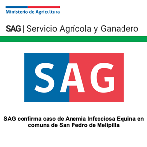 SAG confirma caso de Anemia Infecciosa Equina en comuna de San Pedro de Melipilla